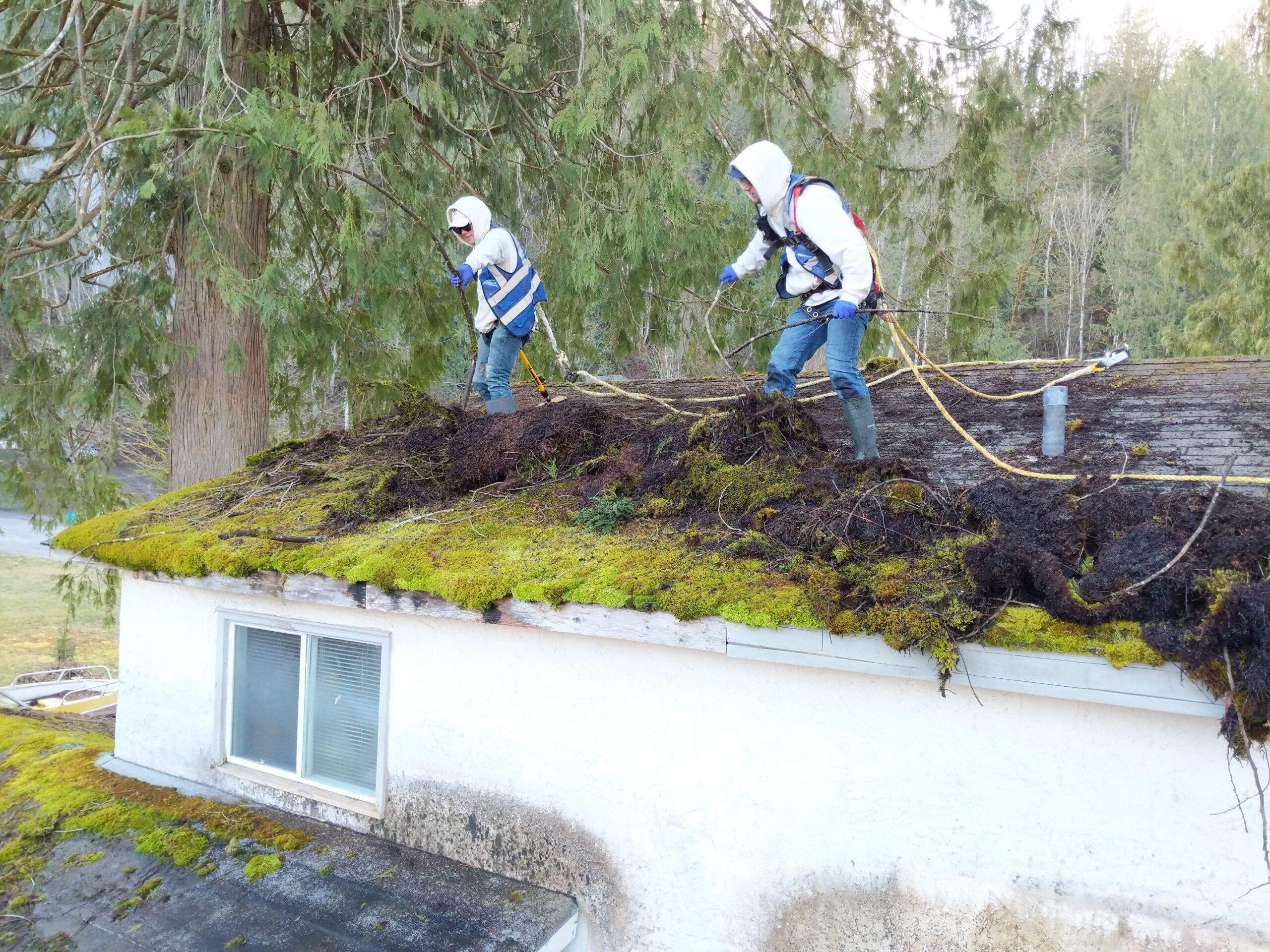 1b0e2b9a5d89dc7fa74c05c36f90f576edd957aa