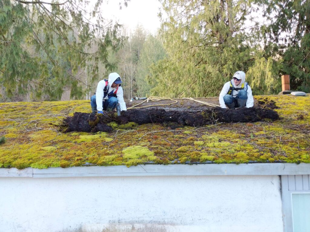 bdec72ef9ec6d64021fad84b4305a915b6990663