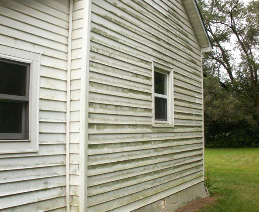 vinyl-siding-mold-removal-before-41