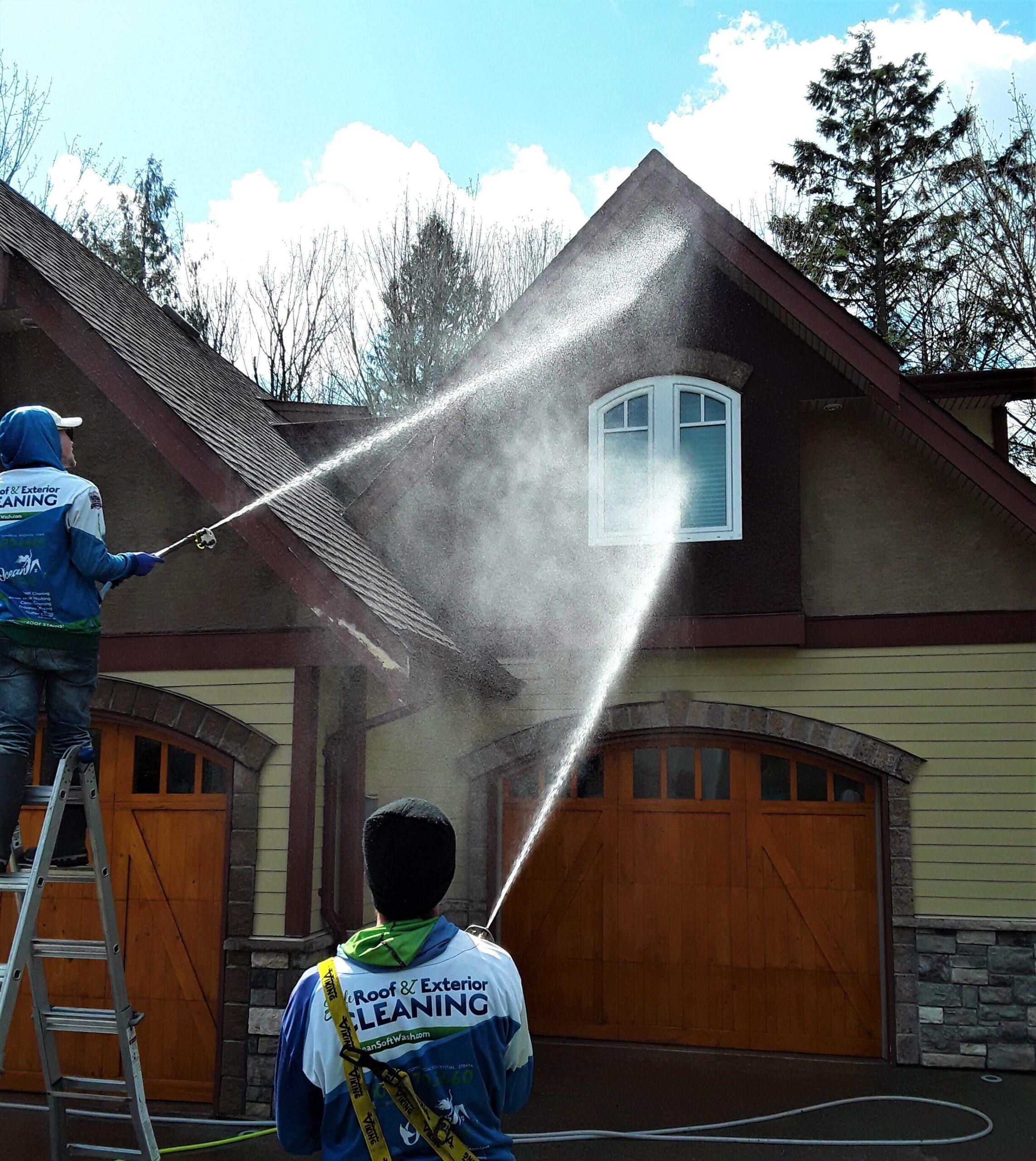 IMG_20200407_125024 (1)