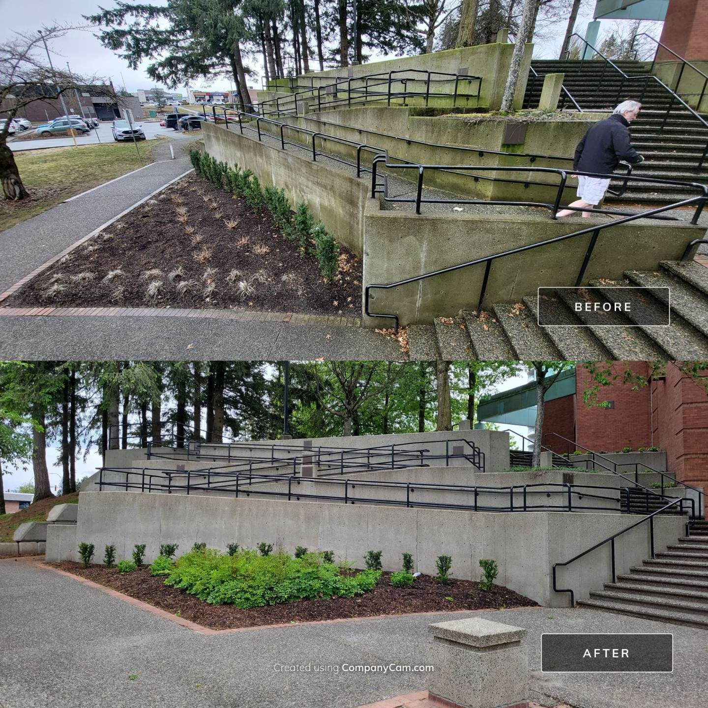 Before and after comparison of a white vinyl fence, showing green algae staining and discoloration before cleaning and a bright, clean fence after restoration.