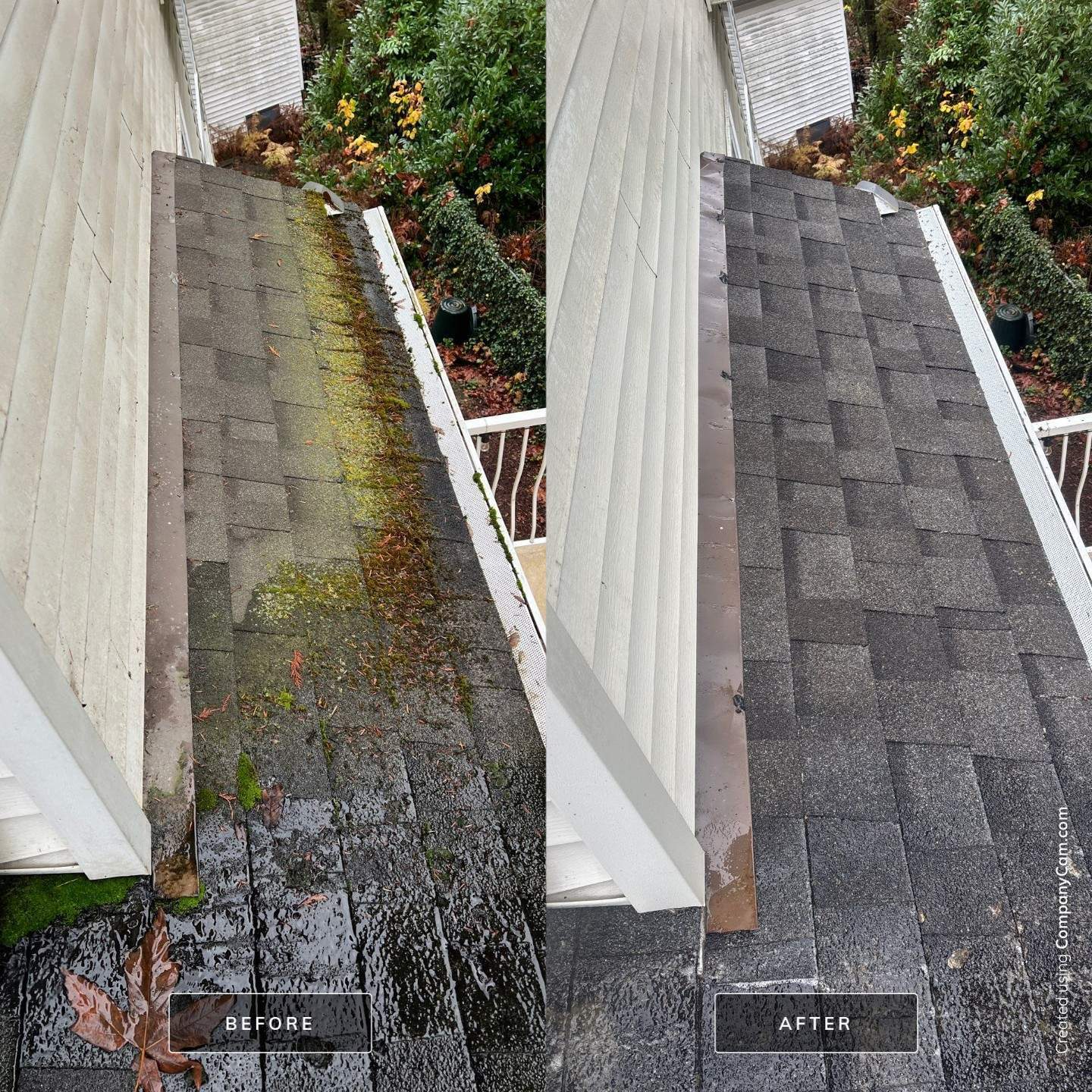 Before and after comparison of a white vinyl fence, showing green algae staining and discoloration before cleaning and a bright, clean fence after restoration.