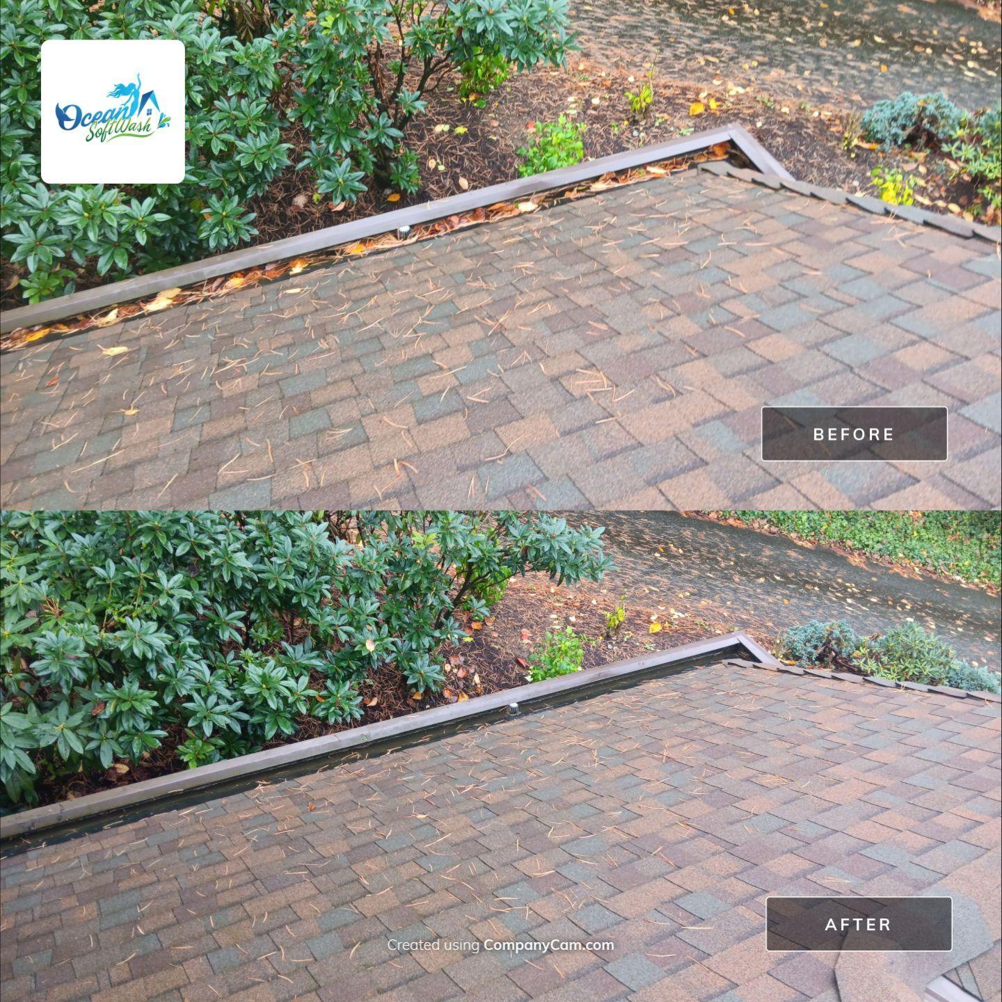 Before-and-after gutter cleaning showing roof-edge gutters cleared of leaves and pine needles in Abbotsford, BC.