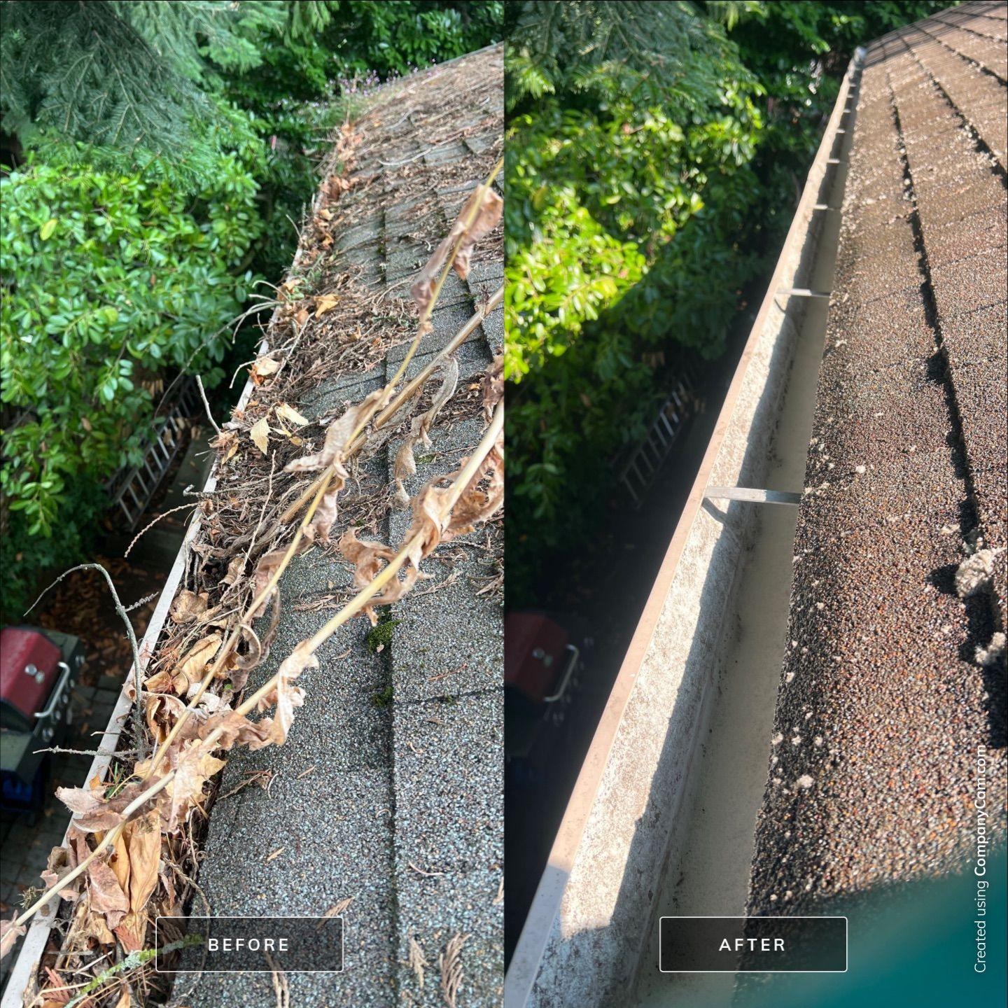 Before-and-after gutter cleaning showing roof-edge gutters cleared of leaves and pine needles in Abbotsford, BC.
